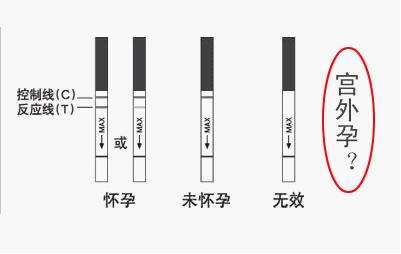 澳門 第14頁