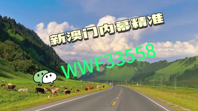 王中王一肖一馬中特一，探尋背后的秘密與獨(dú)特之處，探尋王中王一肖一馬中特一背后的獨(dú)特秘密