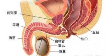 睪丸炎，了解、預(yù)防與治療，睪丸炎，全面解析、預(yù)防與治療方法