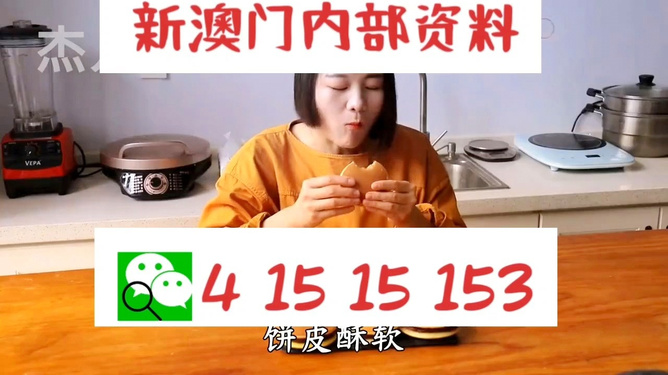 新澳六叔精準(zhǔn)資料大全，揭秘背后的秘密與實(shí)用指南，新澳六叔精準(zhǔn)資料揭秘，背后秘密與實(shí)用指南大全