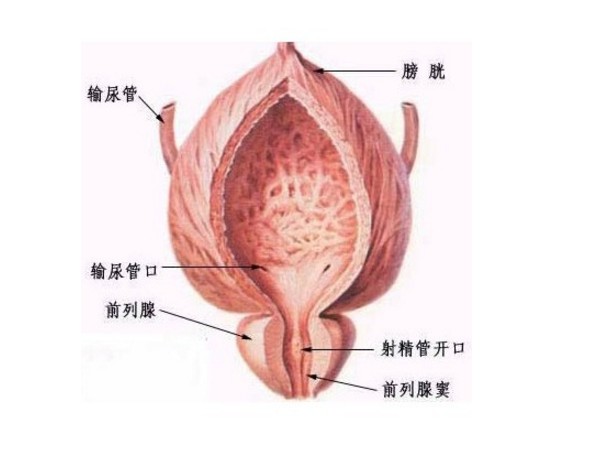 前列腺炎能自愈嗎？解析前列腺炎及其治療方式，解析前列腺炎，能否自愈與有效治療方式探討