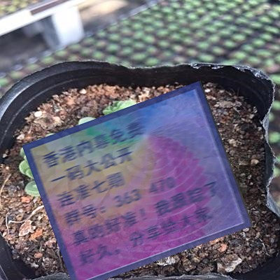 關(guān)于三肖賠多少錢的全面解析，三肖賠款金額全面解析