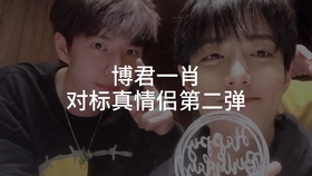 一肖拖一肖二中二有幾組——深度解析與探索，深度解析與探索，一肖拖一肖二中二有多少組組合？