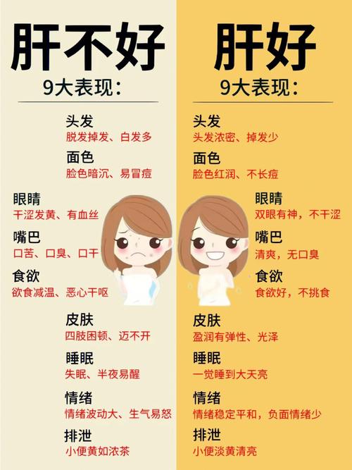 肝不好有哪些癥狀，全面解析肝臟健康警示信號，肝臟健康警示信號解析，癥狀表現與肝臟健康關系全面解讀