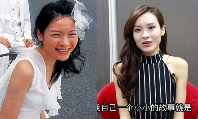 香港女明星名字大全圖，璀璨星光下的美麗傳奇，璀璨星光下的美麗傳奇，香港女明星名字大全圖