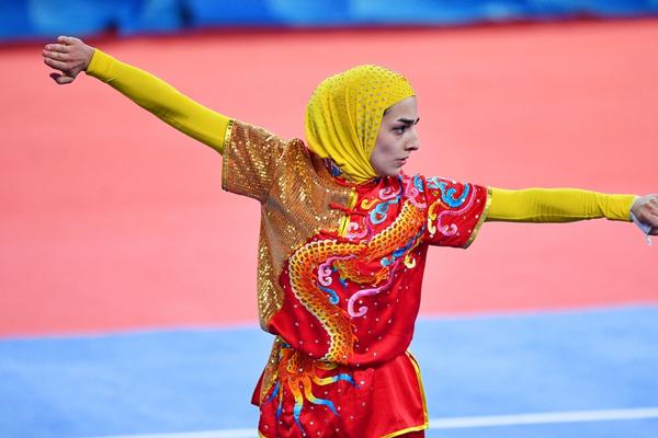 揭秘504王中王一肖，背后的故事與傳奇，揭秘王中王一肖傳奇，背后的故事與神秘面紗