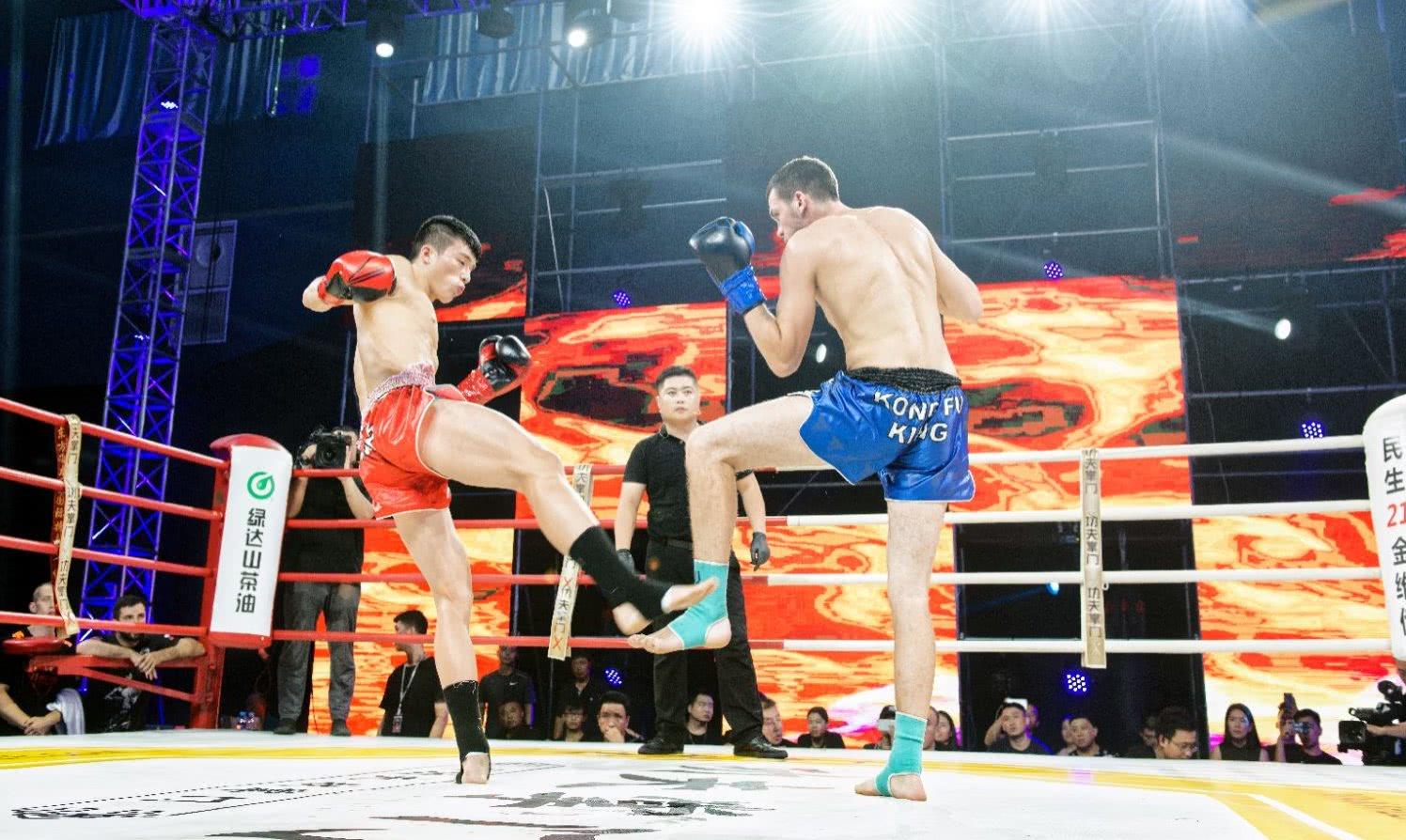 王中王欲錢一句猜一肖——探尋生肖之謎，王中王欲錢揭秘生肖之謎，探尋生肖的奧秘