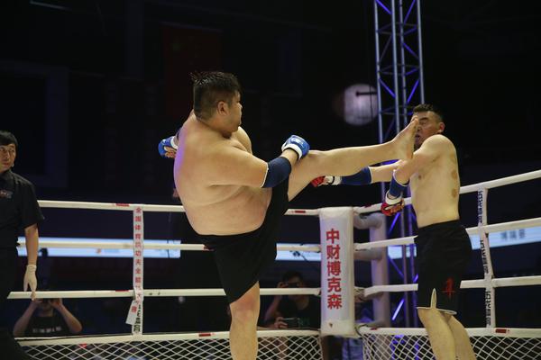 特特馬王中王一碼一肖，揭秘背后的秘密與探索SEO優(yōu)化策略，特特馬王中王一碼一肖，揭秘背后的秘密與SEO優(yōu)化策略探索