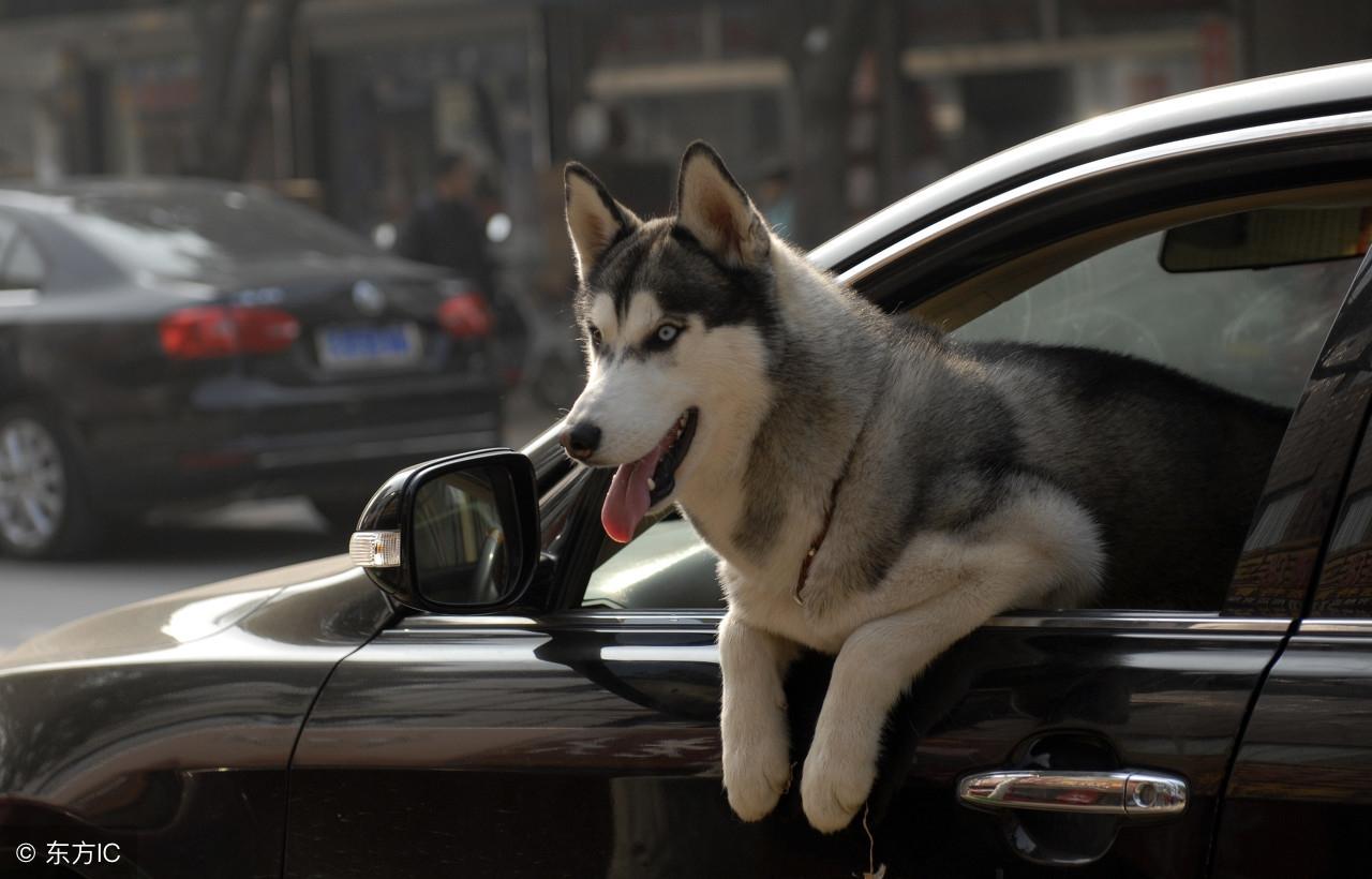 今晚九點(diǎn)三十分特馬開(kāi)彩盛宴，揭秘彩票背后的秘密！，揭秘彩票背后的秘密，今晚九點(diǎn)三十分特馬開(kāi)彩盛宴！