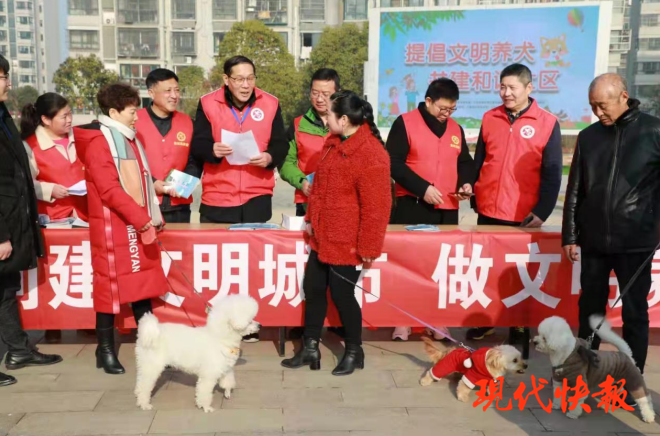 急先鋒澳門六肖，深度解析與探索，澳門六肖急先鋒，深度解析與探索