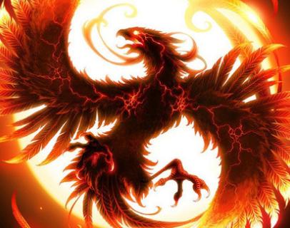 王中王精準(zhǔn)一肖中鳳凰，揭秘預(yù)測之謎，揭秘王中王精準(zhǔn)預(yù)測一肖中鳳凰的奧秘