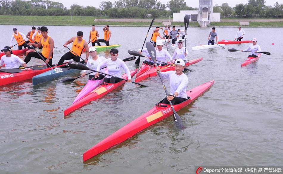 王中王一碼一肖免費公開，揭秘精準預(yù)測的秘密，揭秘王中王一碼一肖精準預(yù)測的秘密，免費公開揭秘！