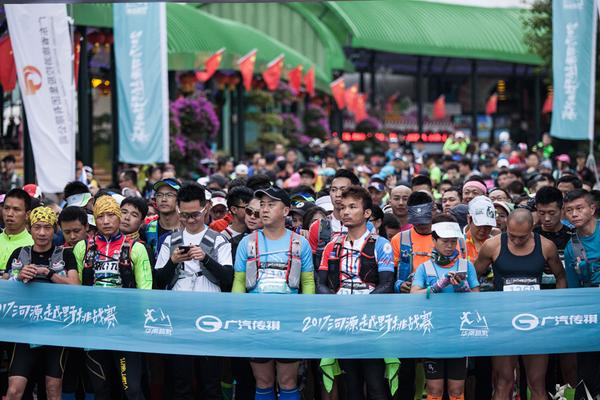 一肖平特王中王，揭秘彩票背后的秘密與策略，揭秘彩票背后的秘密與策略，一肖平特王中王之選