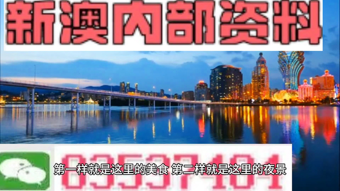新澳門最精準(zhǔn)正最精準(zhǔn)龍門，探索與揭秘，新澳門最精準(zhǔn)正龍門探索揭秘攻略