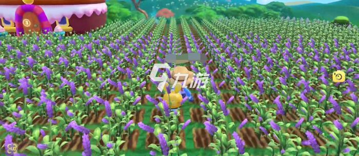 摩爾莊園紫羅蘭種子，種植與優(yōu)化的SEO策略，摩爾莊園紫羅蘭種子種植與SEO策略優(yōu)化指南