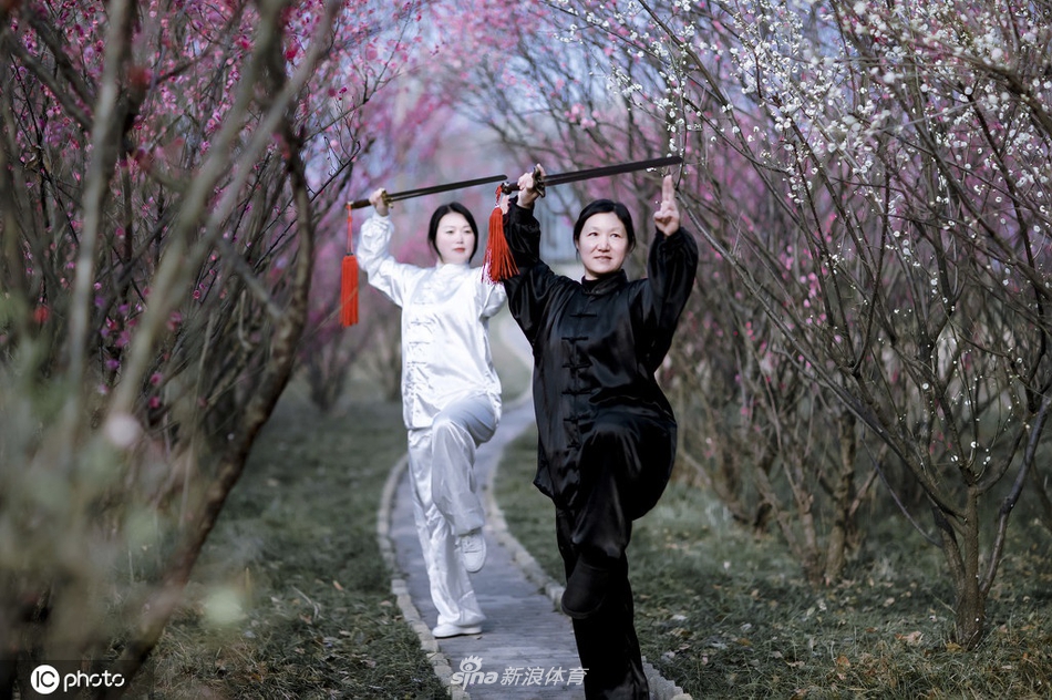 揭秘劉伯溫一期一肖期期中的奧秘與真相，劉伯溫一期一肖期奧秘與真相揭秘