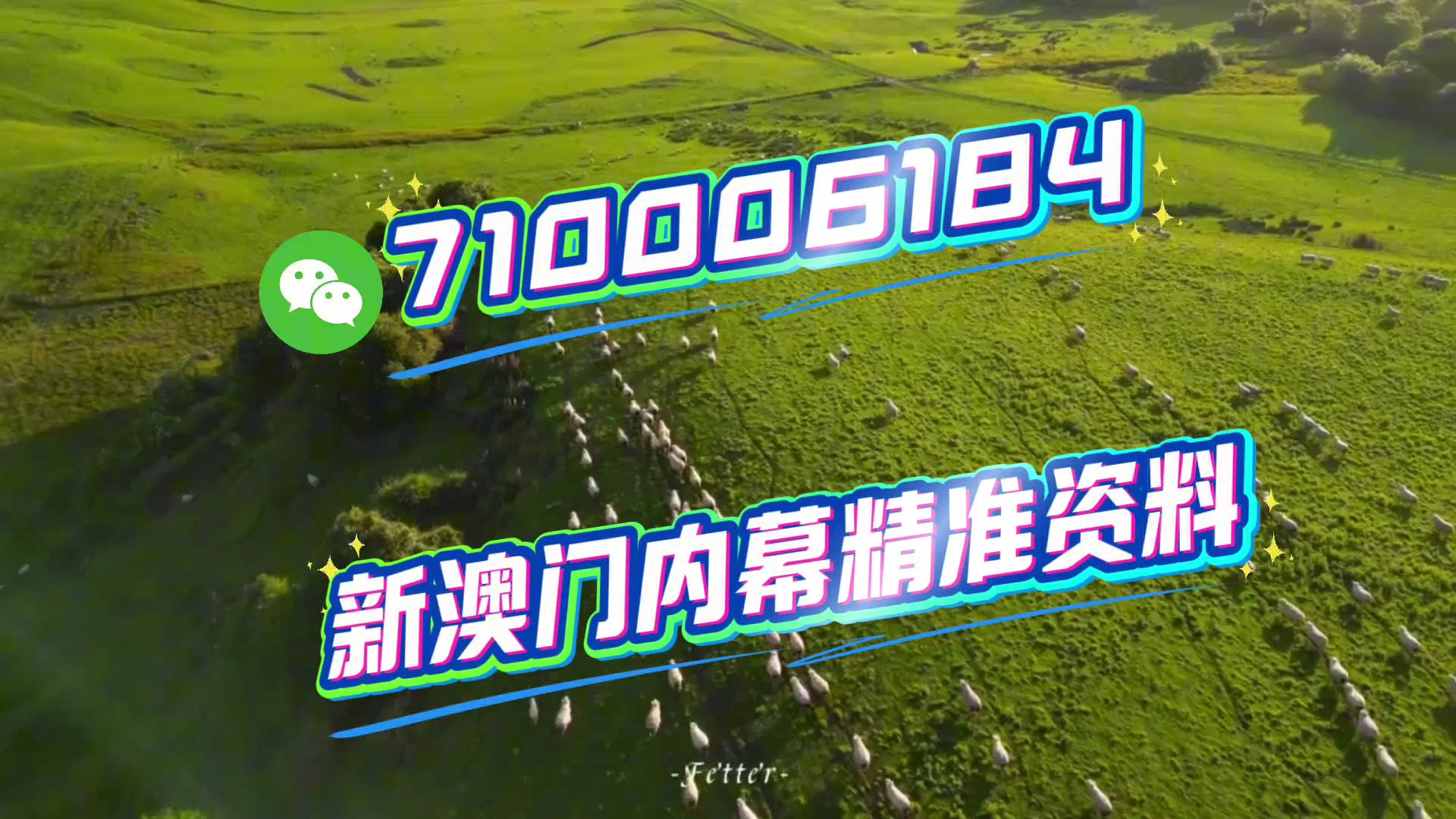 揭秘澳門今晚必開生肖，預(yù)測與策略走向（2025年），澳門生肖預(yù)測揭秘，今晚必開生肖與策略走向（2025年）