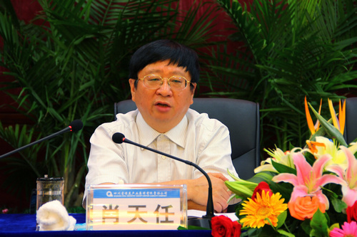 王中王資科一肖中持天，深度解析與SEO優(yōu)化策略，王中王資科一肖中持天深度解析與SEO優(yōu)化策略探討