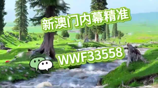 揭秘今晚9點(diǎn)30澳門生肖運(yùn)勢(shì)，掌握好運(yùn)之門，揭秘澳門生肖運(yùn)勢(shì)，今晚9點(diǎn)30的好運(yùn)之門開啟！