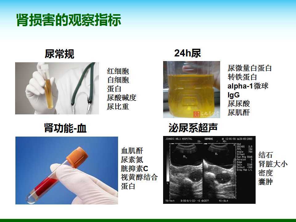 尿酸水平升高與腎臟健康，尿酸460是否意味著腎臟已經(jīng)受損？，尿酸水平升高與腎臟健康關(guān)系解析，尿酸460是否預(yù)示腎臟受損？