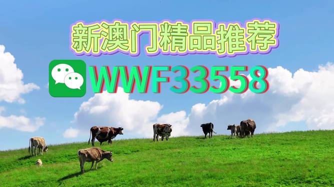 揭秘今晚9點30生肖運勢，你的生肖運勢如何？，揭秘今晚9點30生肖運勢，你的生肖運勢走向如何？