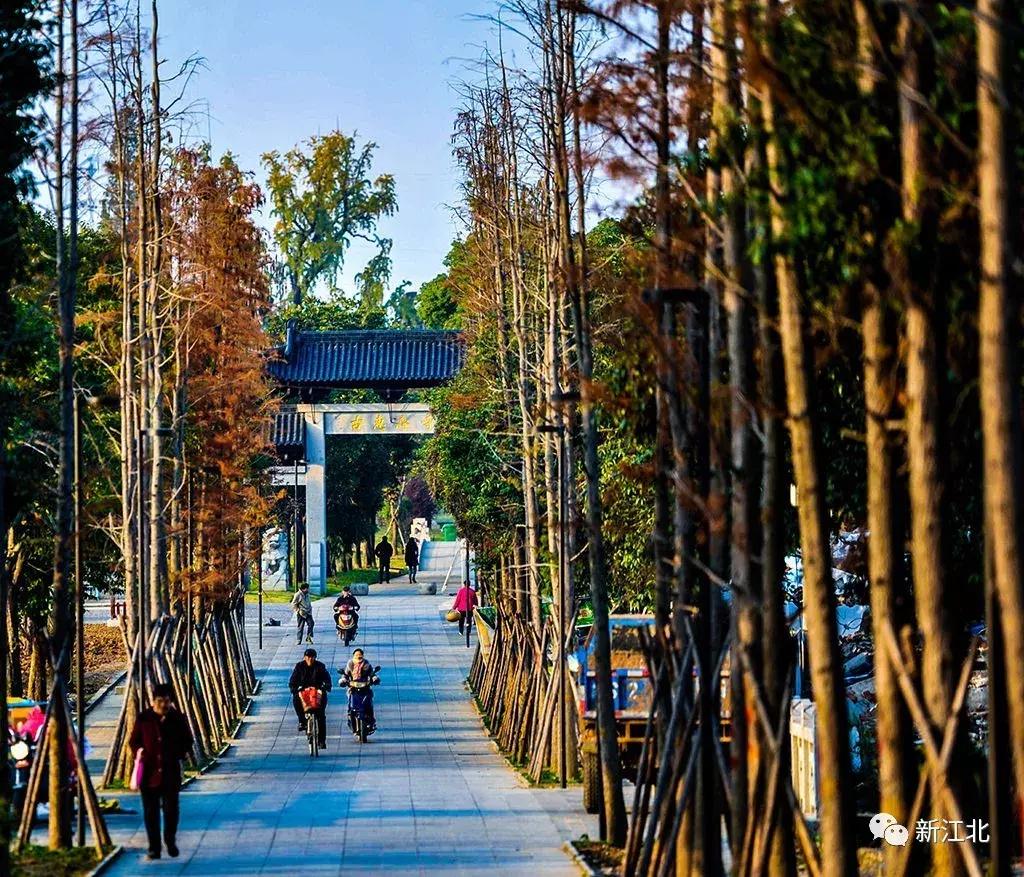 劉伯溫騎馬打一生肖，傳奇故事與生肖運(yùn)勢(shì)解讀，劉伯溫傳奇故事與生肖運(yùn)勢(shì)解讀，騎馬打一生肖的奧秘