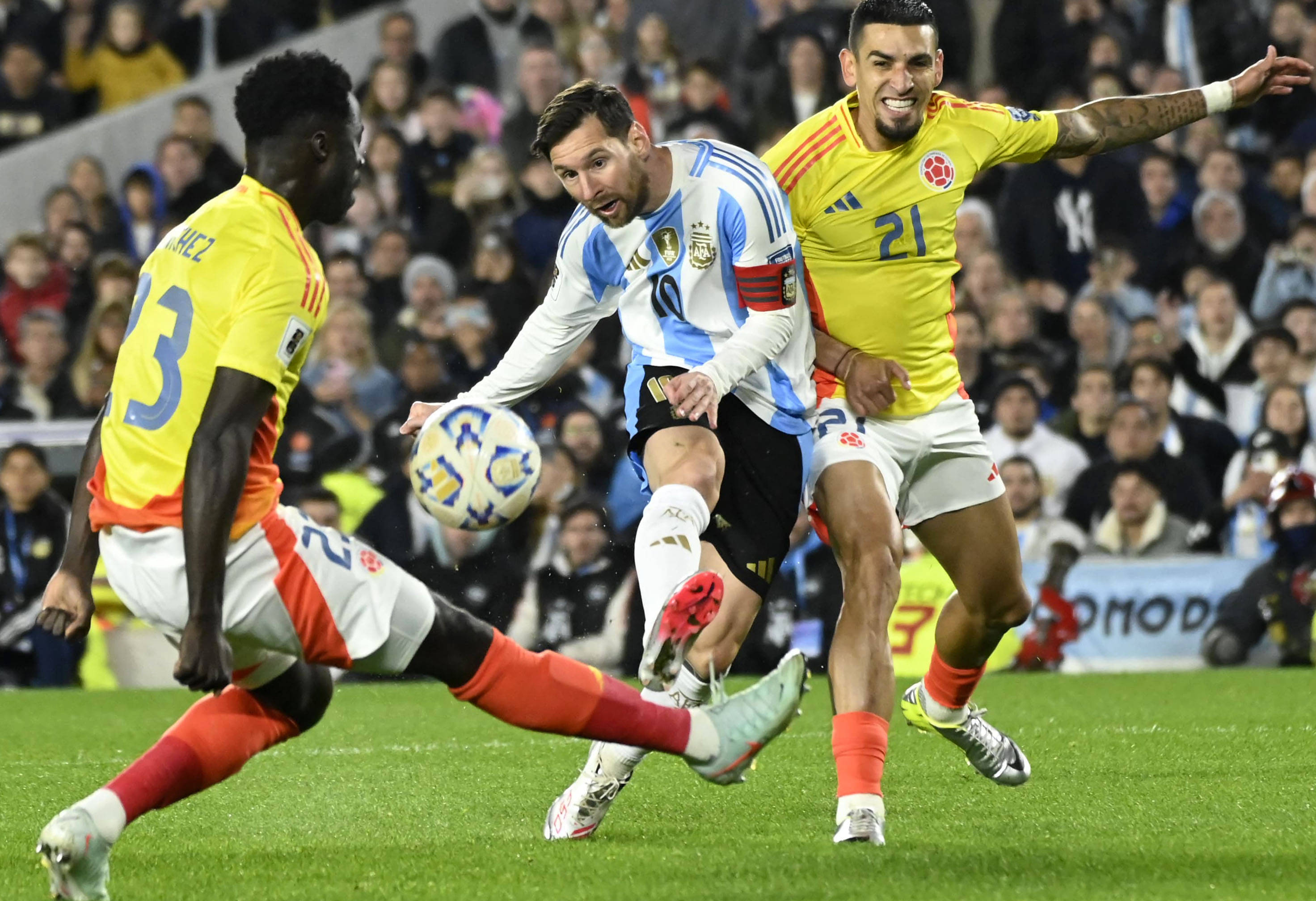 王中王077期一肖特種，深度解析與SEO優(yōu)化策略，王中王077期生肖特種深度解析與SEO優(yōu)化策略探討