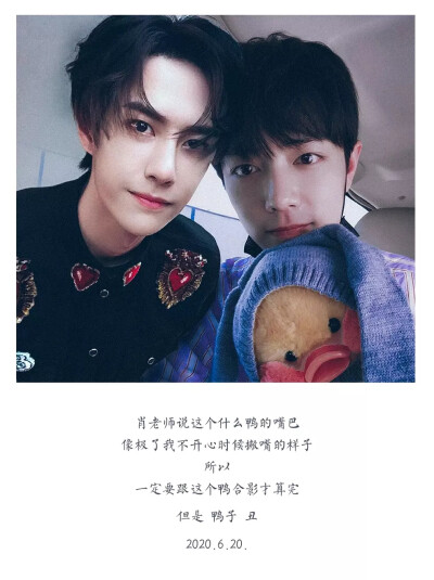 王中王一肖資料一肖王，深度解析與SEO優(yōu)化文章，王中王一肖資料深度解析與SEO優(yōu)化策略探討