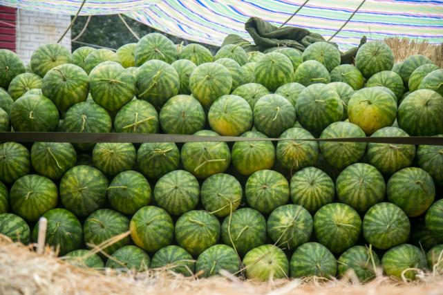 澳門一碼一肖預(yù)測，揭秘真相與風(fēng)險應(yīng)對，澳門一碼一肖預(yù)測揭秘，真相探索與風(fēng)險應(yīng)對策略