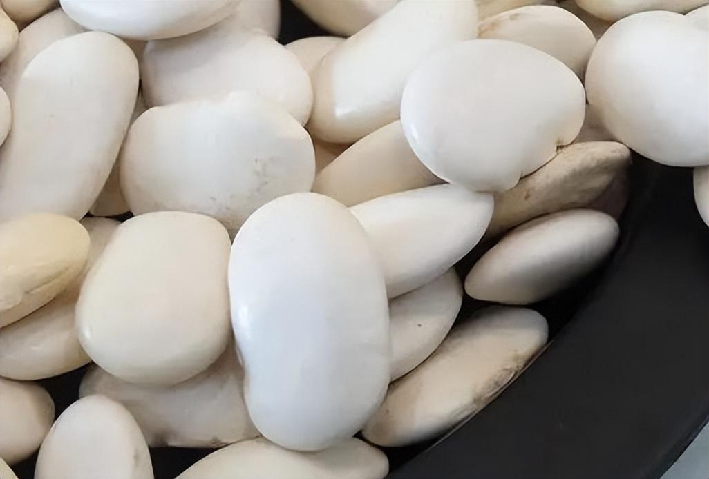 養(yǎng)胃又治胃病的食物，呵護(hù)你的胃健康，養(yǎng)胃治胃必備食物，呵護(hù)你的胃健康之道