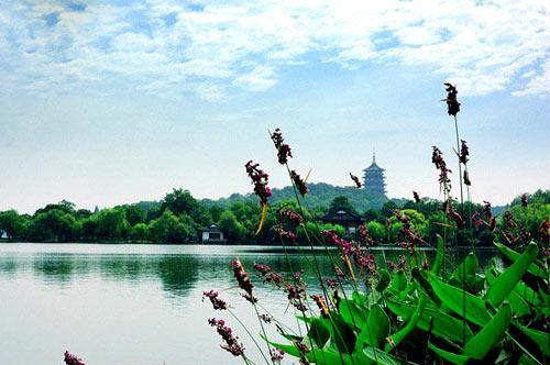 杭州市西湖風景名勝區(qū)的魅力與SEO優(yōu)化策略，西湖風景名勝區(qū)魅力揭秘與SEO優(yōu)化策略探索