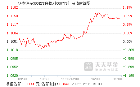 關(guān)于003567基金今日凈值的深度解析，003567基金今日凈值深度解析，洞悉市場(chǎng)動(dòng)態(tài)與投資機(jī)遇