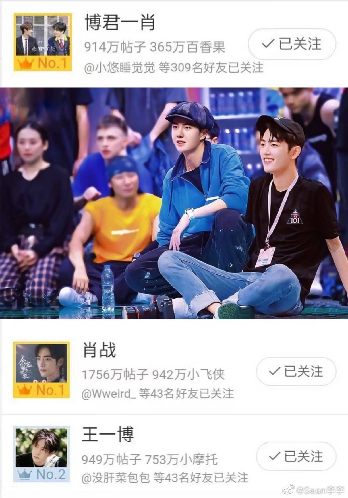 王中王一肖中特資料詳解，王中王一肖中特資料深度解析