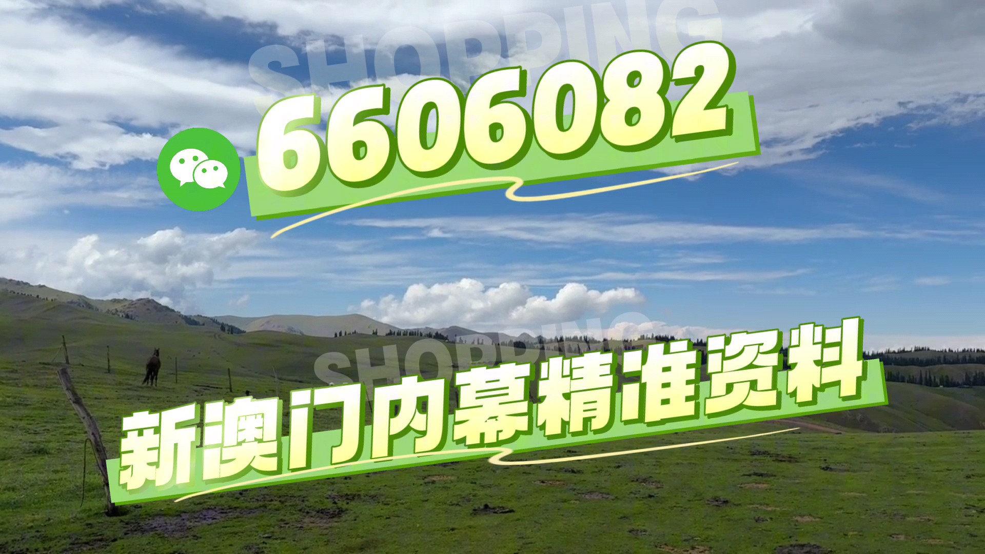 澳門必開一肖二碼，揭秘背后的秘密與策略，澳門必開一肖二碼揭秘，背后的秘密策略與預(yù)測技巧
