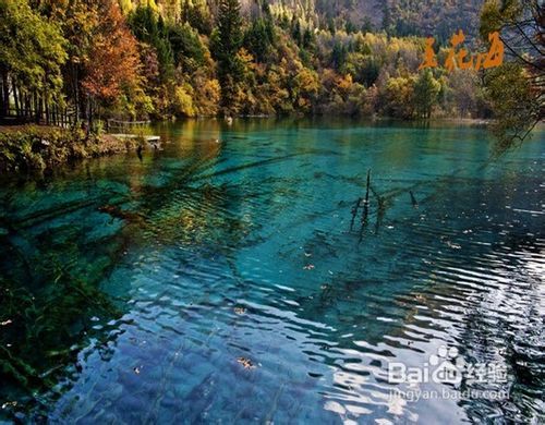 九寨溝風(fēng)景區(qū)景點(diǎn)詳細(xì)介紹，九寨溝風(fēng)景區(qū)景點(diǎn)全面詳解