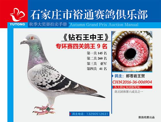 王中王一期一肖特中獎，揭秘彩票背后的秘密與策略，揭秘彩票背后的秘密與策略，王中王一期一肖特中獎解析