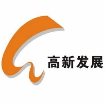關(guān)于高新發(fā)展（代碼，000628）的全面解析，高新發(fā)展（代碼，000628）全面解析報(bào)告