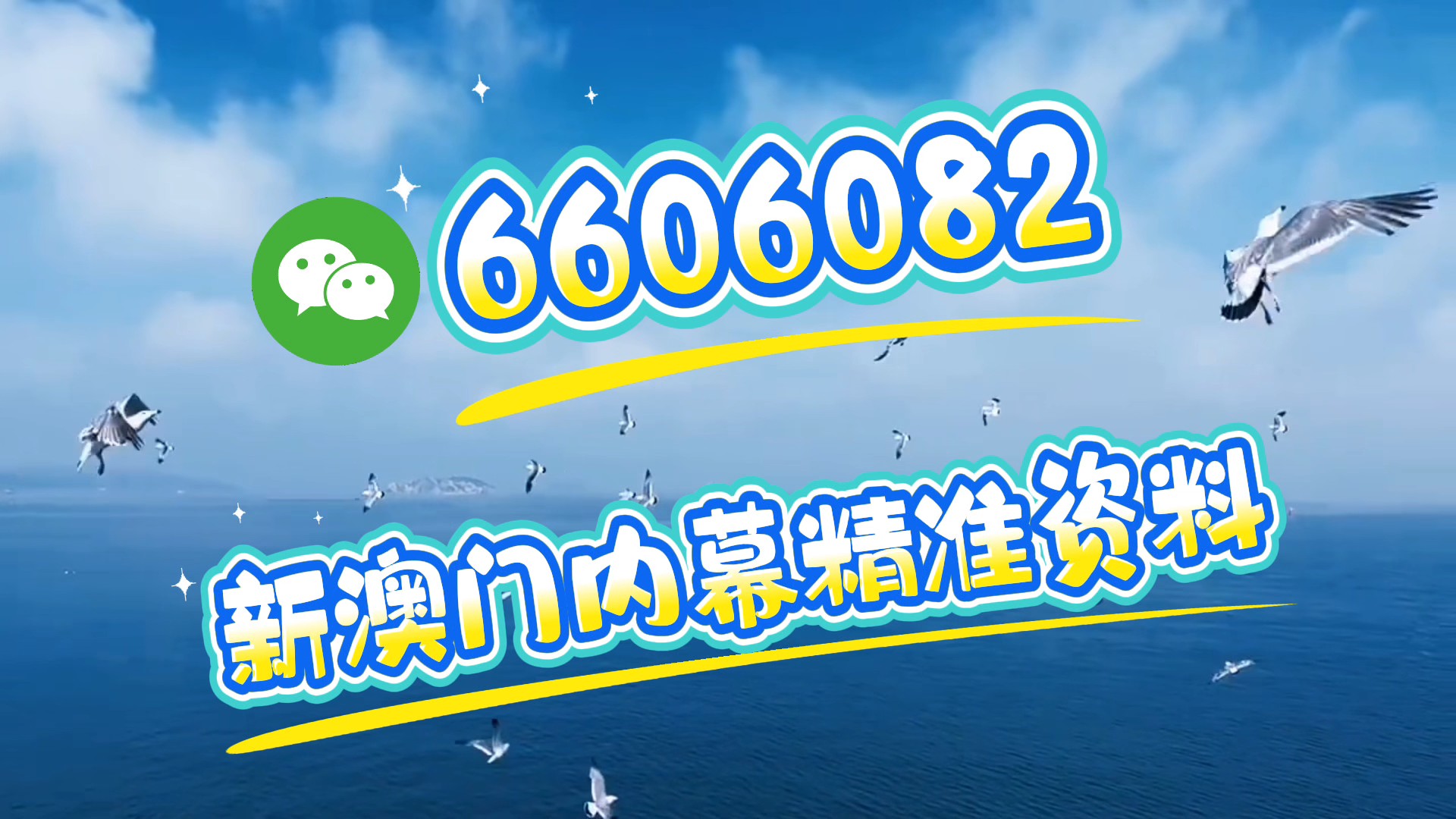 新澳門(mén)期期準(zhǔn)，探索澳門(mén)的魅力與未來(lái)發(fā)展，澳門(mén)魅力探秘與未來(lái)發(fā)展展望