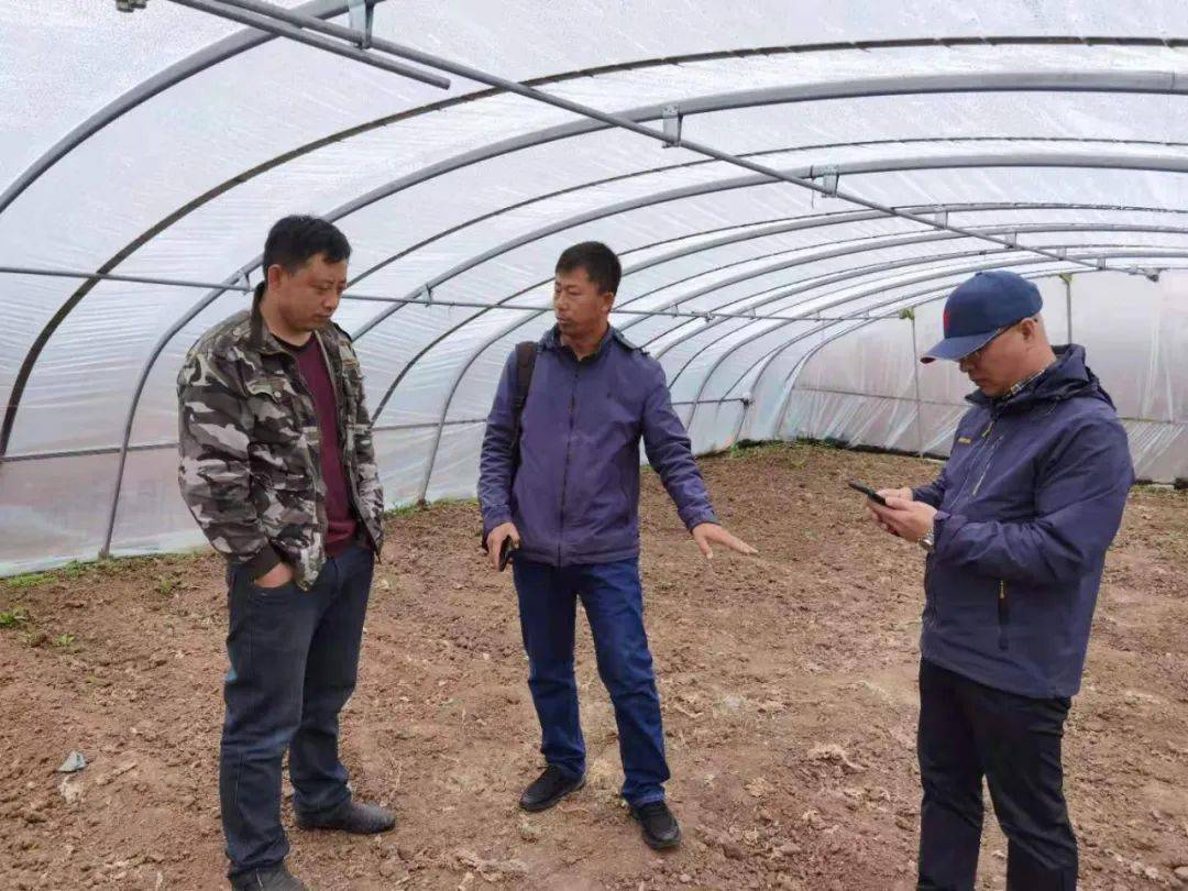 新澳門(mén)王中王期期命中，揭秘背后的秘密與策略，揭秘新澳門(mén)王中王期期命中的秘密與策略之道