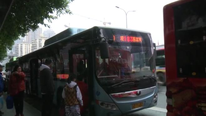 一肖買什么——揭秘最佳選擇與策略，揭秘生肖彩票最佳選擇與策略，一肖買什么？