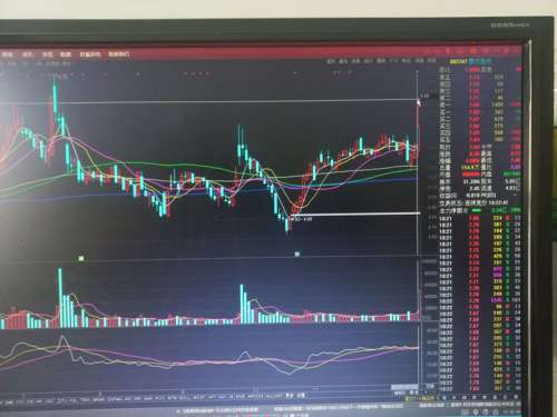 探索福瑞股份股吧的獨(dú)特魅力，一個全方位解析的視角，福瑞股份股吧的獨(dú)特魅力，全方位解析視角