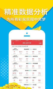 王中王四肖選一，揭秘選擇與策略的藝術(shù)，揭秘王中王四肖選一的選擇策略藝術(shù)