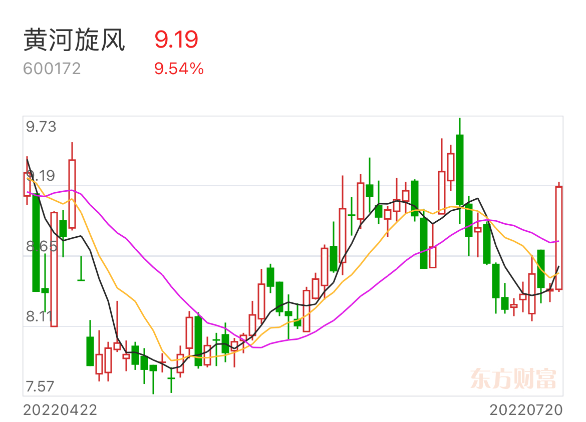 黃河旋風(fēng)股票，投資潛力與前景展望，黃河旋風(fēng)股票，投資潛力與未來前景展望