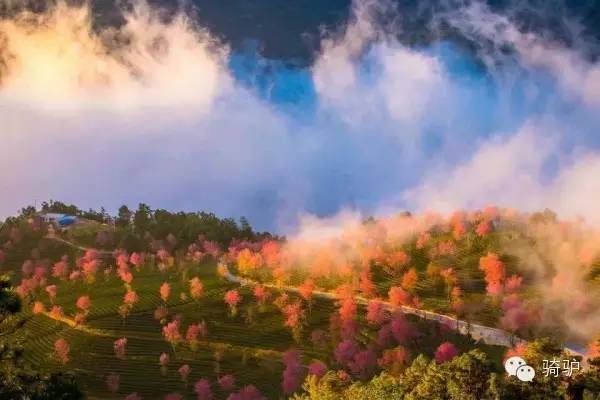 十一月與十二月，這些旅游勝地等你來探索！，十一月與十二月旅游勝地探秘之旅！