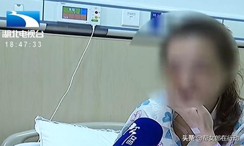 一肖中賠解析，深度探討背后的機制與策略，一肖中賠解析，深度探究機制與策略之道