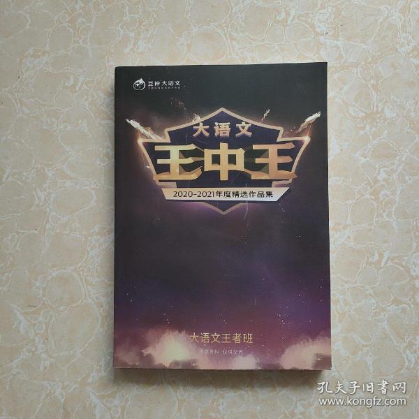 王中王一肖中特資料com的全面解析，王中王一肖中特資料com全面解析與解讀