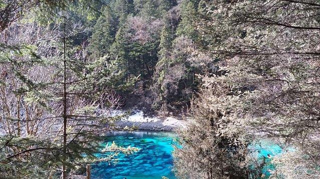 重慶到九寨溝跟團游價格全解析，重慶到九寨溝跟團游費用全面解析