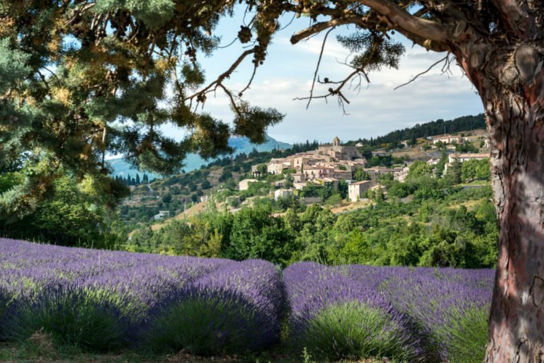 法國(guó)普羅旺斯薰衣草莊園，夢(mèng)幻般的紫色天堂，法國(guó)普羅旺斯薰衣草莊園，夢(mèng)幻紫色天堂之旅