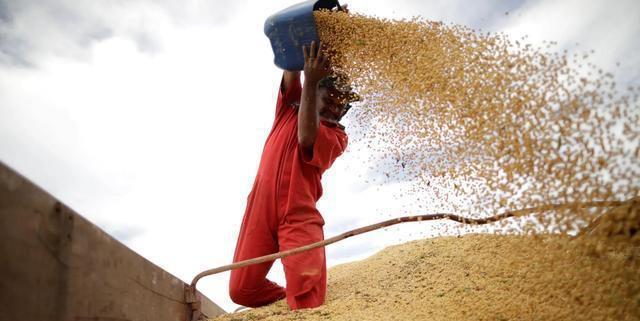 軍事參考消息網(wǎng)，全球軍事動(dòng)態(tài)的權(quán)威來源，全球軍事動(dòng)態(tài)權(quán)威來源——軍事參考消息網(wǎng)