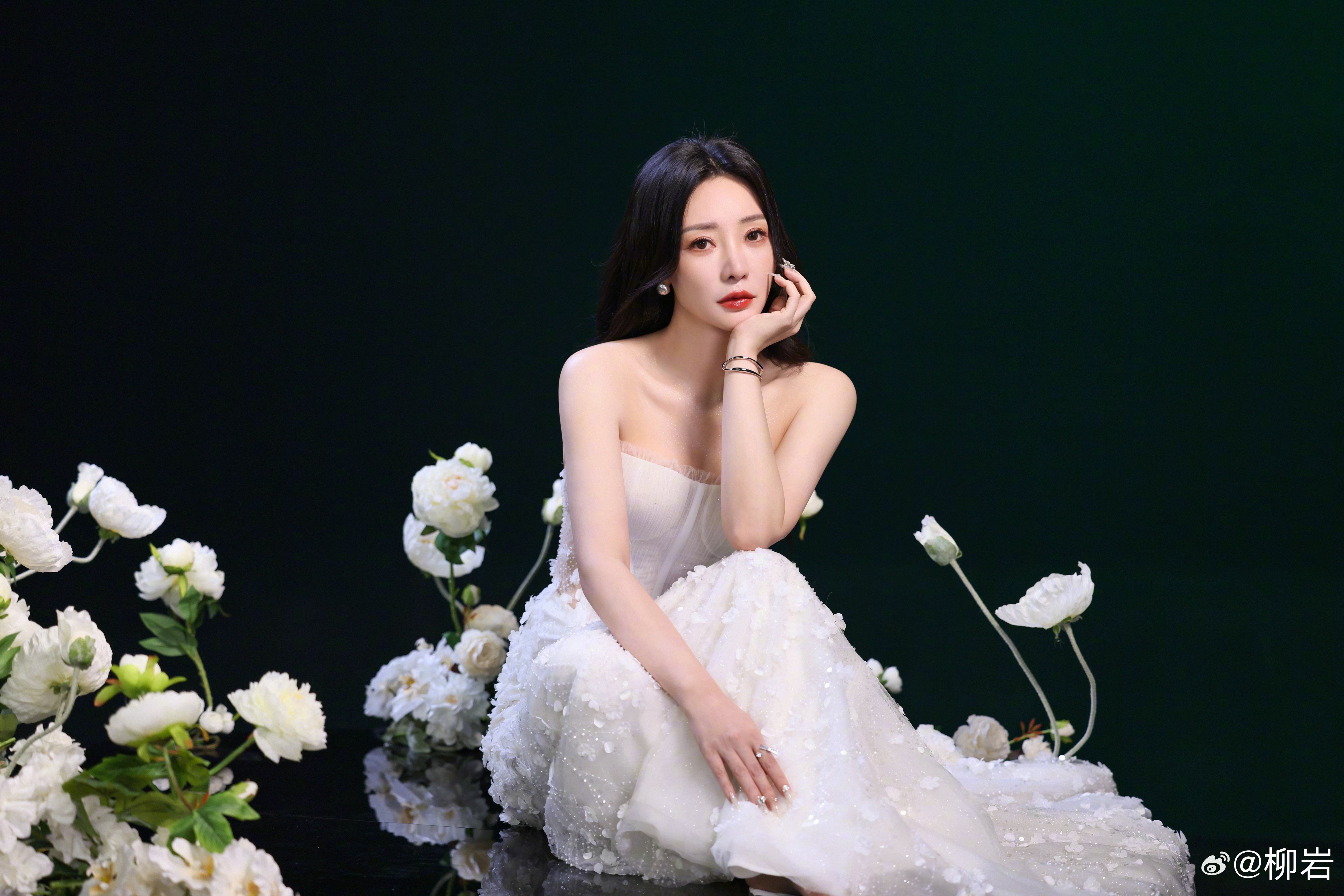 柳巖個人資料及結(jié)婚情況深度解析，柳巖個人檔案與婚姻狀況全面解析